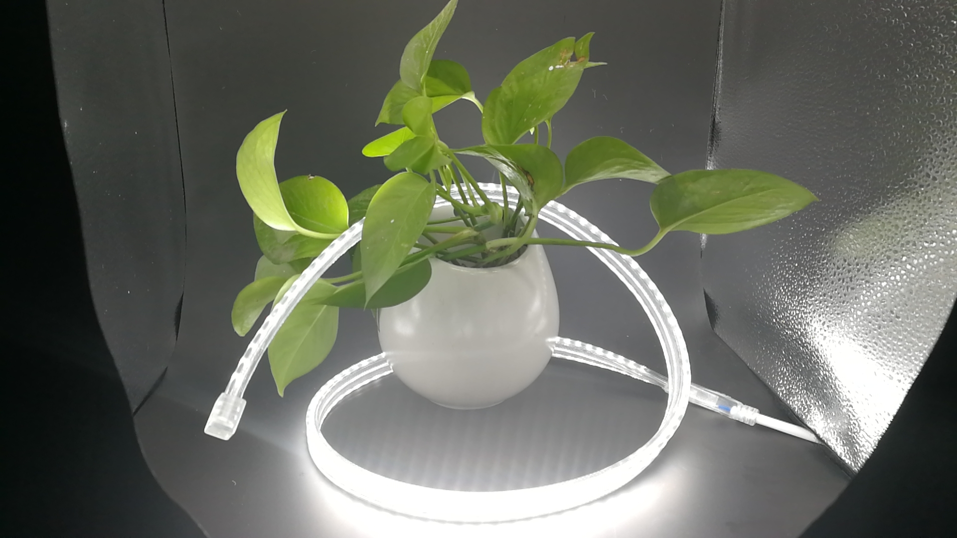 220v/110v Plant Growth Light-Full Spectrum White
