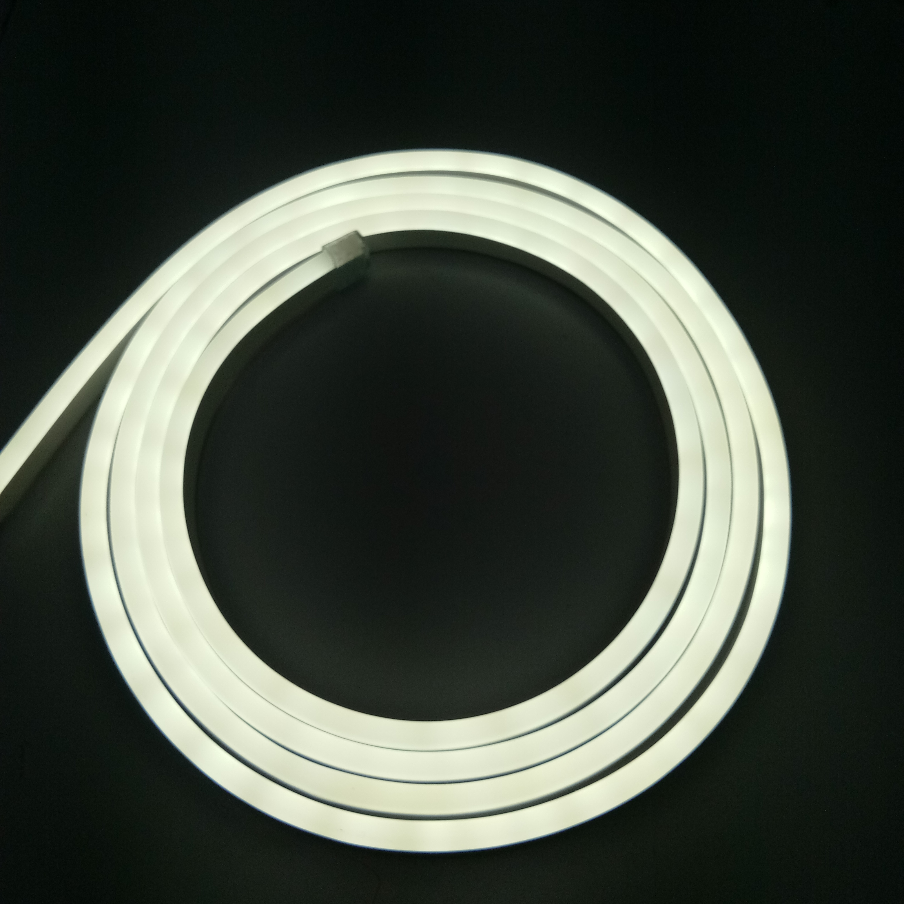 project top quality high Brightness pvc led neon flex light strip light strip light smd2835 chips 6*1