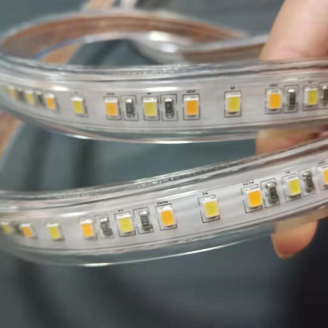 120leds/m 2835 W+WW CCT Flexible LED Strip Light